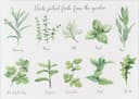 Story Tala Herbs Design Skärbräda