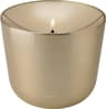 Stelton Solis Brass Oljelampa 10cm