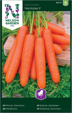 Nelson Garden Morot Sommar Nantaise