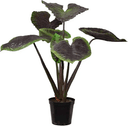 Mr Plant Alocasiaträd Konstväxt 130 cm
