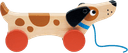 Mentari Puppy on Wheels