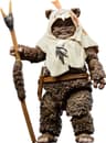 Hasbro Star Wars The Black Series Paploo