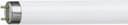 Lysman Bellight T8 Fluorescent Lamps 15W G13