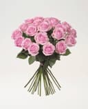 Interflora 20 rosa rosor