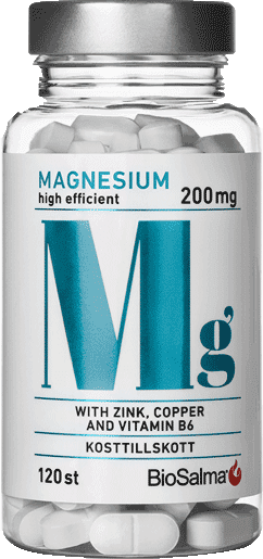 BioSalma Magnesium 200mg 120 st
