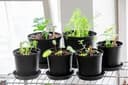 Orthex Planteringskruka Cultivate Ø24 cm 7.5 L