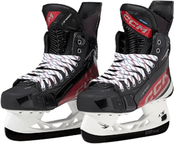 Ishockeyskridskor