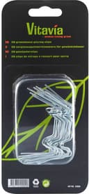 Vitavia Glass Spring Clips 20pcs