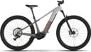 Trek Powerfly 6 Gen 5 Lunar Silver Mercury XL-29