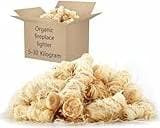 vidaXL BIO Braständare 10 kg