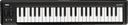 Korg microKEY-49