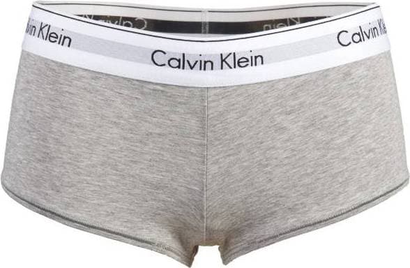 Calvin Klein Modern Cotton High Waisted Hipster Panty