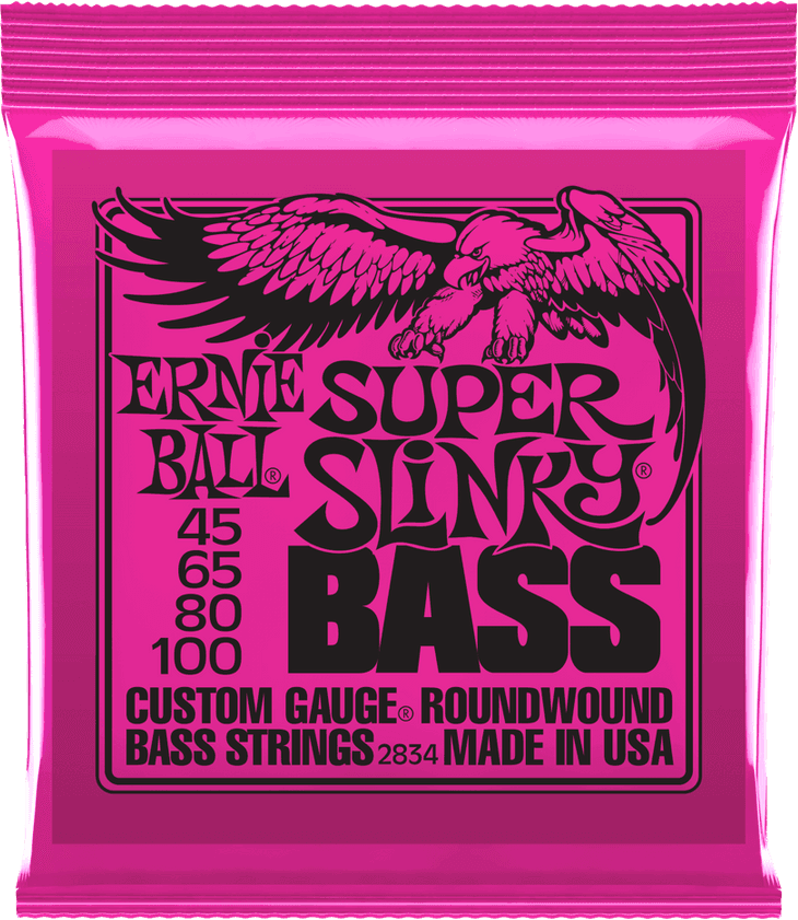Ernie Ball P02834