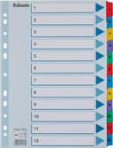 Esselte Register Mylar 1-12 A4