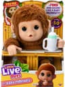 Moose Little Live Pets My Baby Monkey Mango