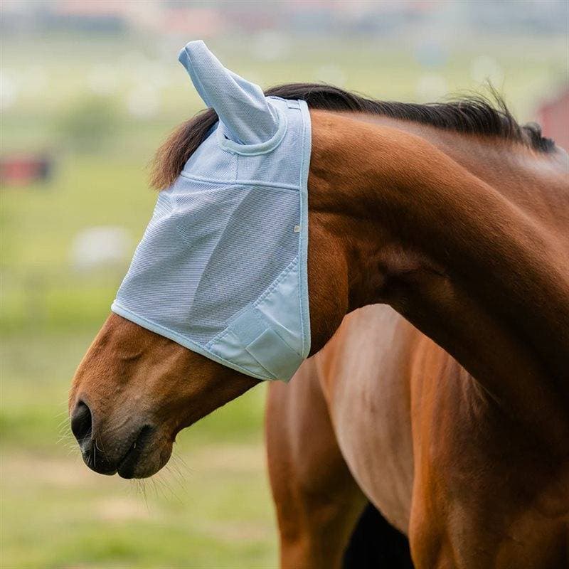 Fairfield Flughuva Tampa - Ljusblå