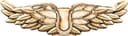 Zadig & Voltaire Decorative Wings Väggdekor
