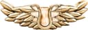 Zadig & Voltaire Decorative Wing-Shaped Brooch