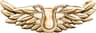 Zadig & Voltaire Decorative Wing-Shaped Brooch