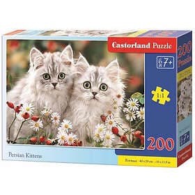 Castorland 200 Puzzle Persian Kittens CASTOR B-222131