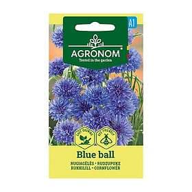 Blue Blåklint Ball Fröer