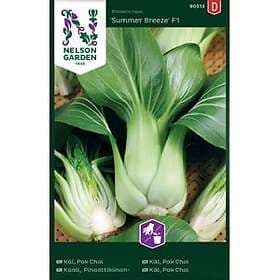 Summer Kål, Pak Choi Breeze F1 Fröer