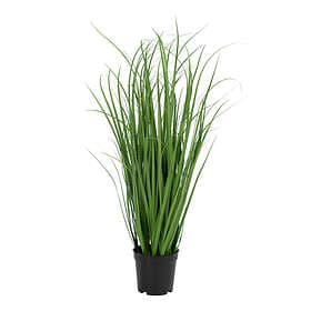 House Nordic Konstväxt Poa Grass 9501080