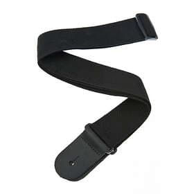 Planet Waves PWS100
