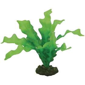 HOBBY Plastväxt Echinodrus 20cm