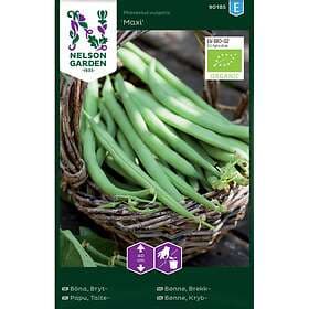 Nelson Garden Fröer Brytböna Maxi Organic