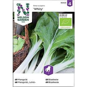 Nelson Garden Fröer Mangold Whity