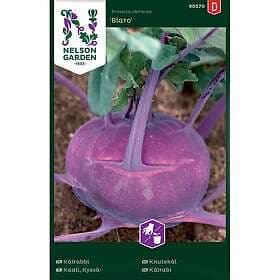 Nelson Garden Fröer Kålrabbi Blaro Violett