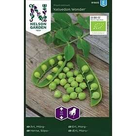 Nelson Garden Fröer Märgärt Kelvedon Wonder Organic