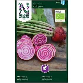 Nelson Garden Fröer Rödbeta Chioggia Organic