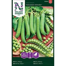 Nelson Garden Fröer Märgärt Kelvedon Wonder Big Pack