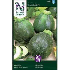 Nelson Garden Fröer Squash Eight Ball F1