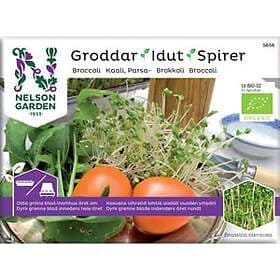 Nelson Garden Groddar Broccoli Organic