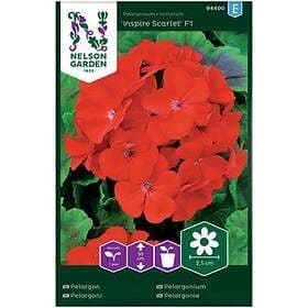Nelson Garden Fröer Pelargon Inspire Scarlet F1