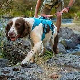 Ruffwear Web Master Hundsele
