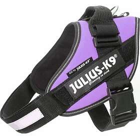 Julius K9 IDC Harness