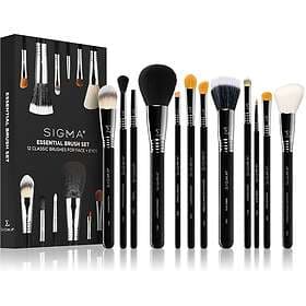 Sigma Beauty Essential Brush Set av borstar female
