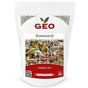 Geo Andante Groddfrömix EKO, 400g