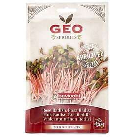 Geo Rosa Rädisfrö EKO, 20g