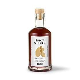 Aarke Drink Mixer Spicy Ginger
