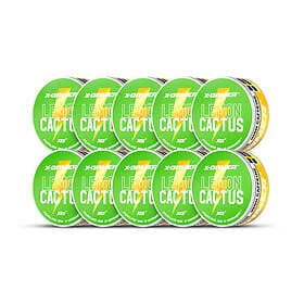 X-Gamer Energy Pouch Lemon Cactus 10-pack