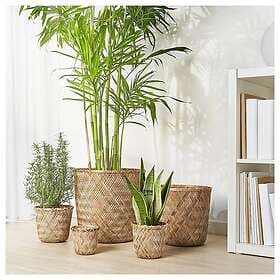 IKEA KLYNNON Kruka 32 cm