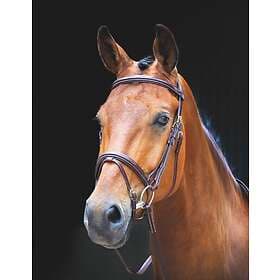 Shires Salisbury Bodenham Träns- Brun