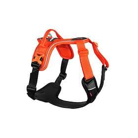 Non-stop Dogwear Ramble Harness Orange
