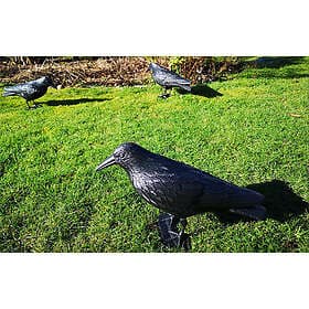 Fågelskrämma: Kråka 3 pack