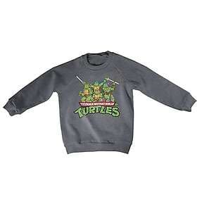 Teeange Mutant Ninja Turtles Distressed Group Kids Sweatshirt (Jr)